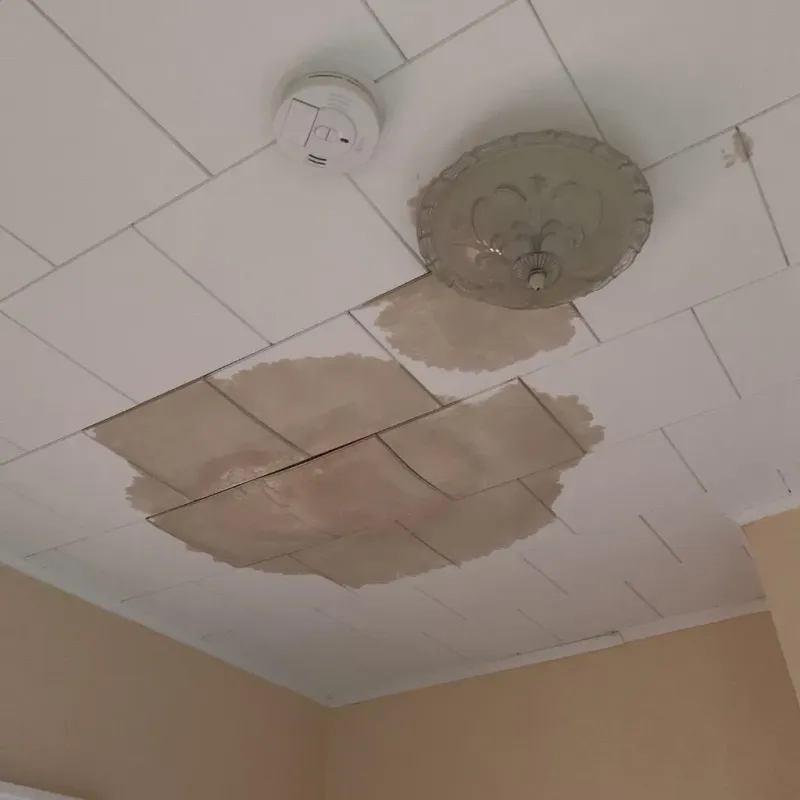 Ceiling Water Damage Repair in Lillington, NC