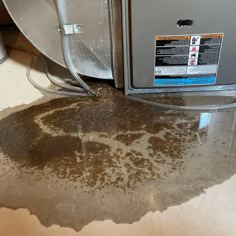 Pipe Burst and Leak Restoration in Lillington, NC