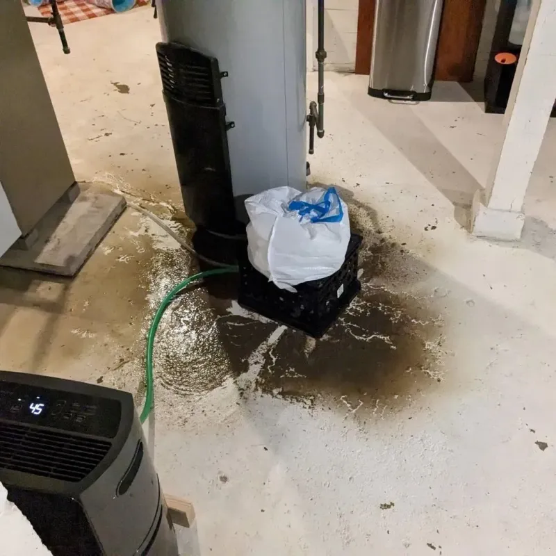Sewage Backup Cleanup Service in Lillington, NC
